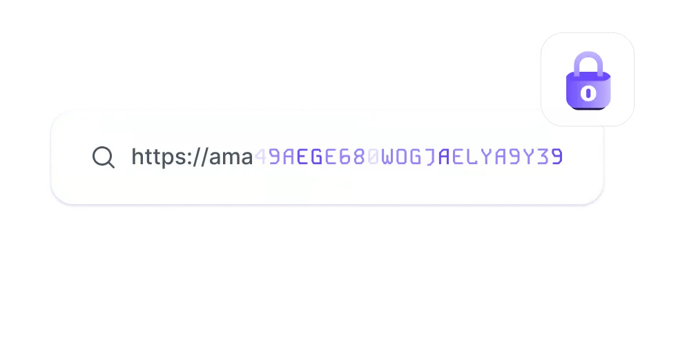 DNS 泄漏防护 address lookup secured by a lock